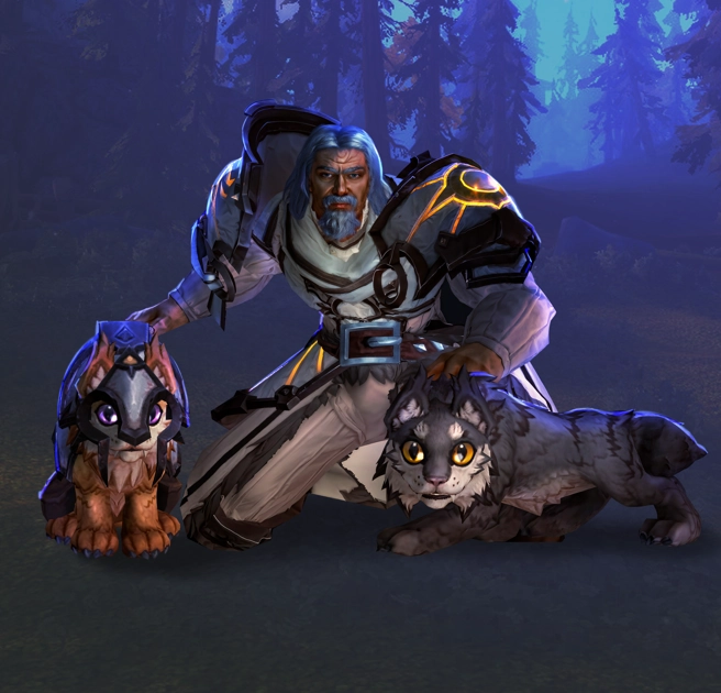 WoW Flame’s Radiance Renown Boost - cover image