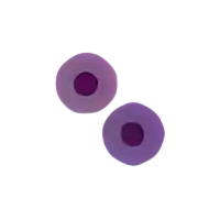 Monster Hunter Wilds Poison Status Ailment