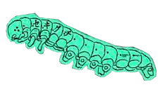 GLOWworm weapon sticker reward